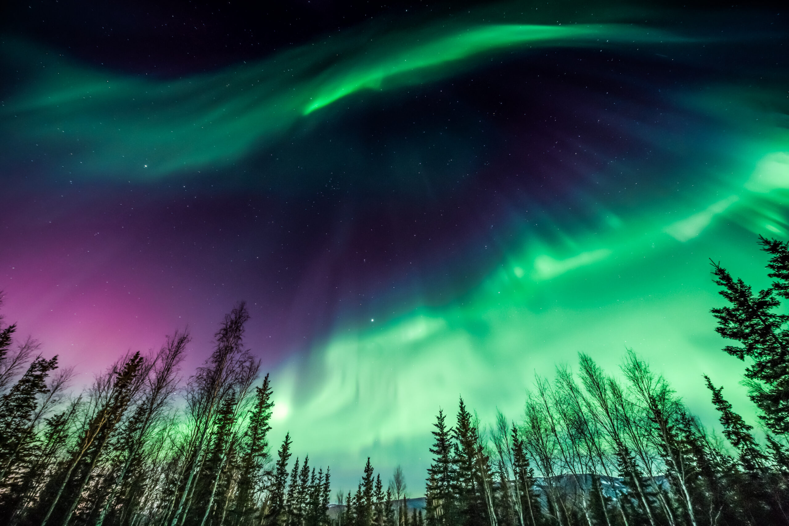 ​Aurora Borealis, a once in a lifetime experience